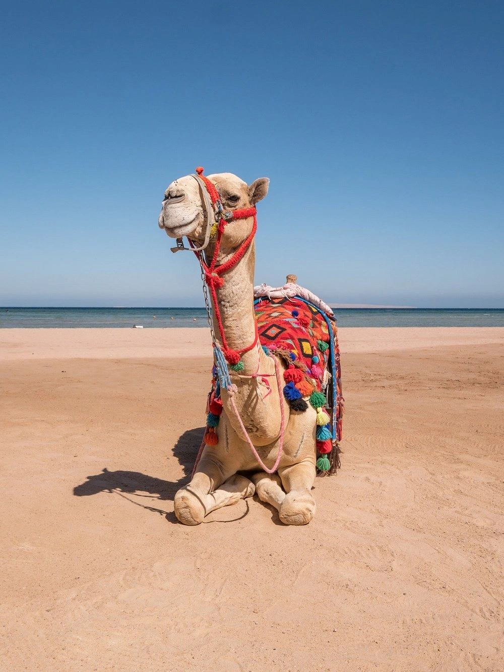 Long Beach Resort Hurghada