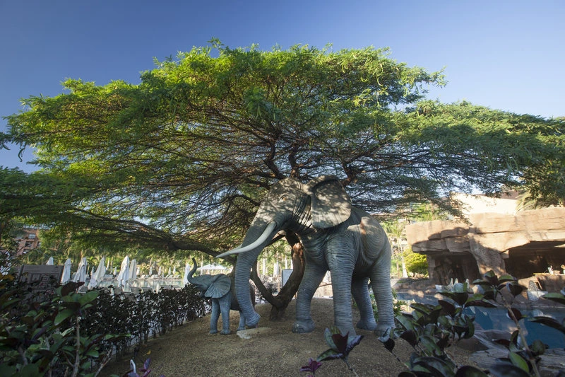 Lopesan Baobab Resort