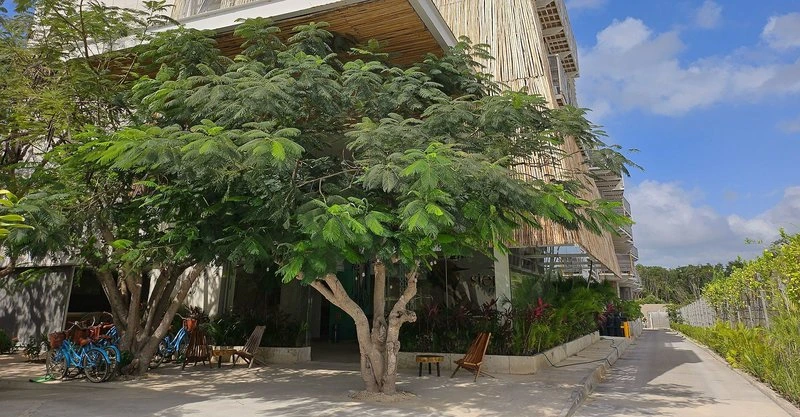 Siente Tulum