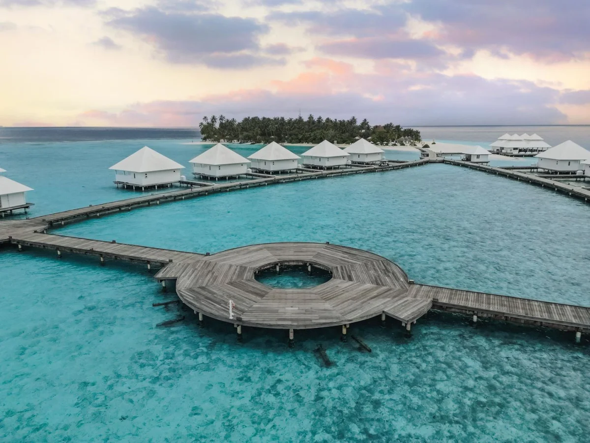 View More