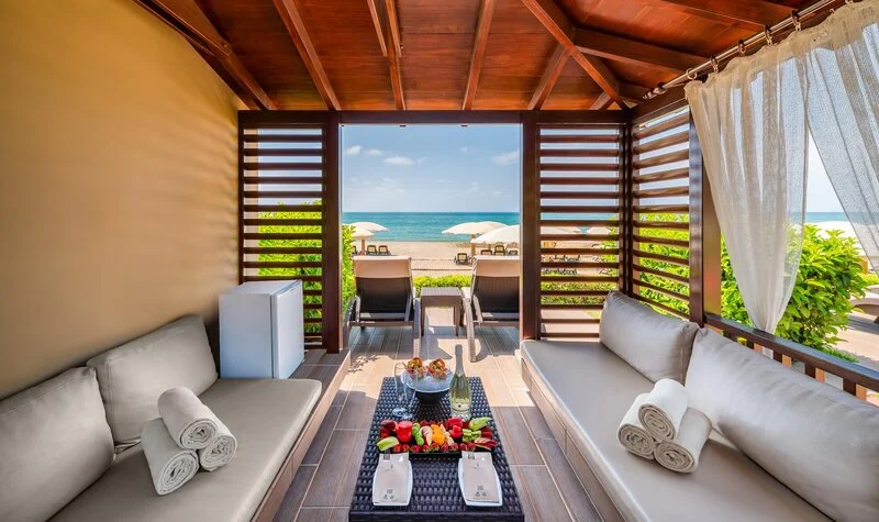 View More