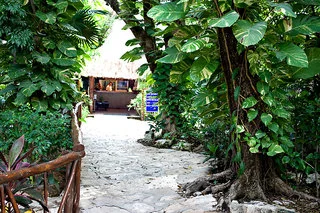 Tukan Hotel Playa Del Carmen