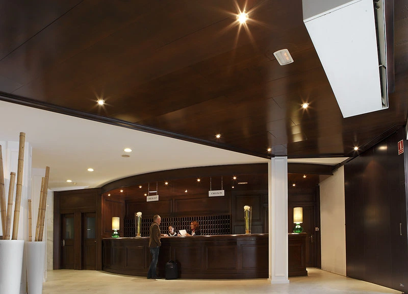 Gran Hotel Flamingo