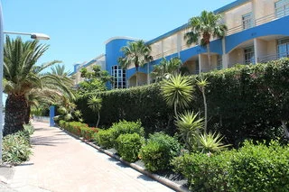 Altamarena