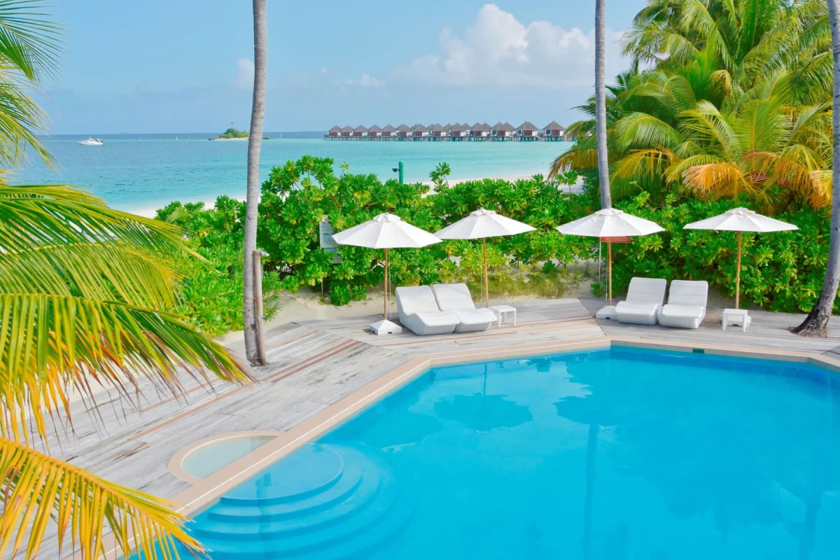 Safari Island Resort