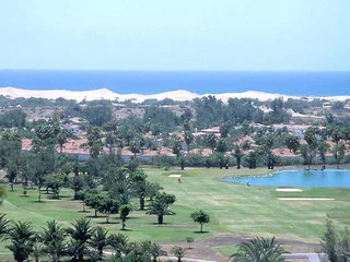 View More