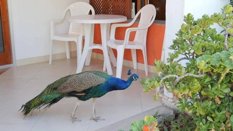 HL Miraflor Suites Hotel