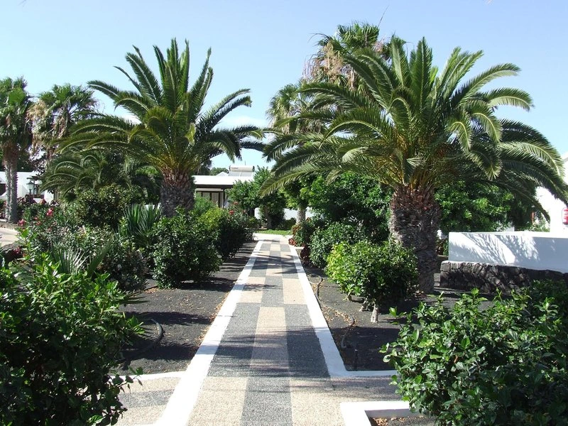 Bungalows Playa Limones