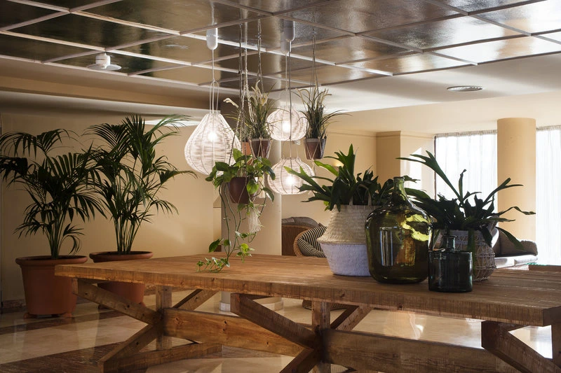 Luna Park Yoga & Spa Hotel
