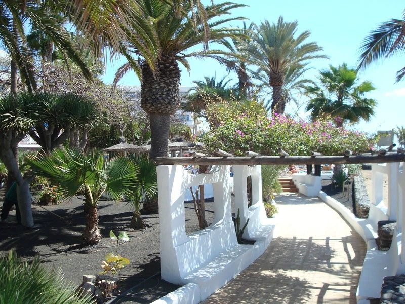 VIK Hotel San Antonio