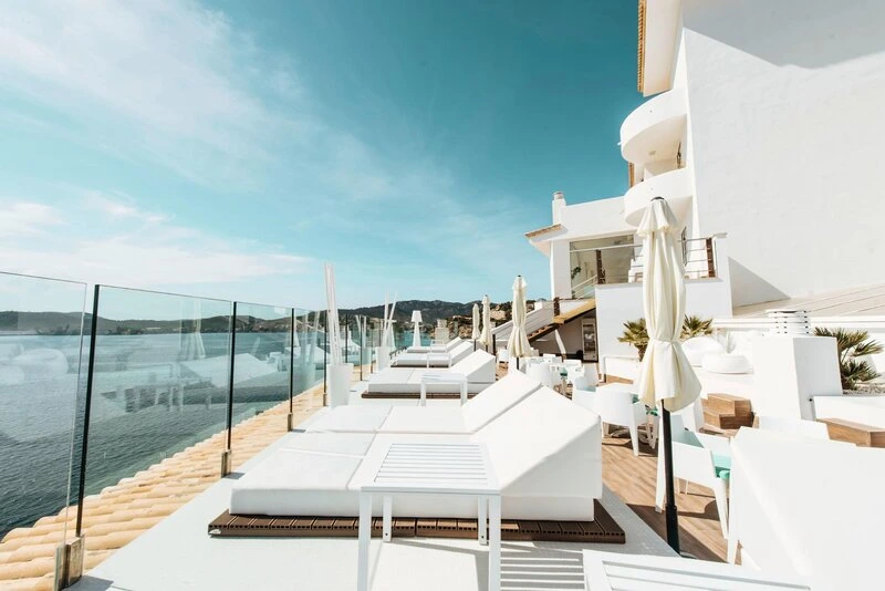 Sentido Fido Punta del Mar