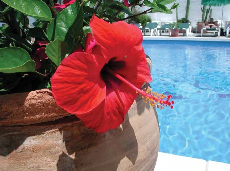 Marins Suites
