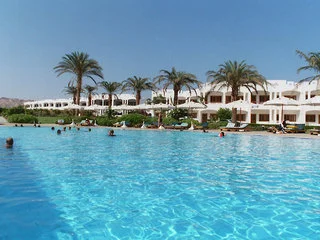 View More