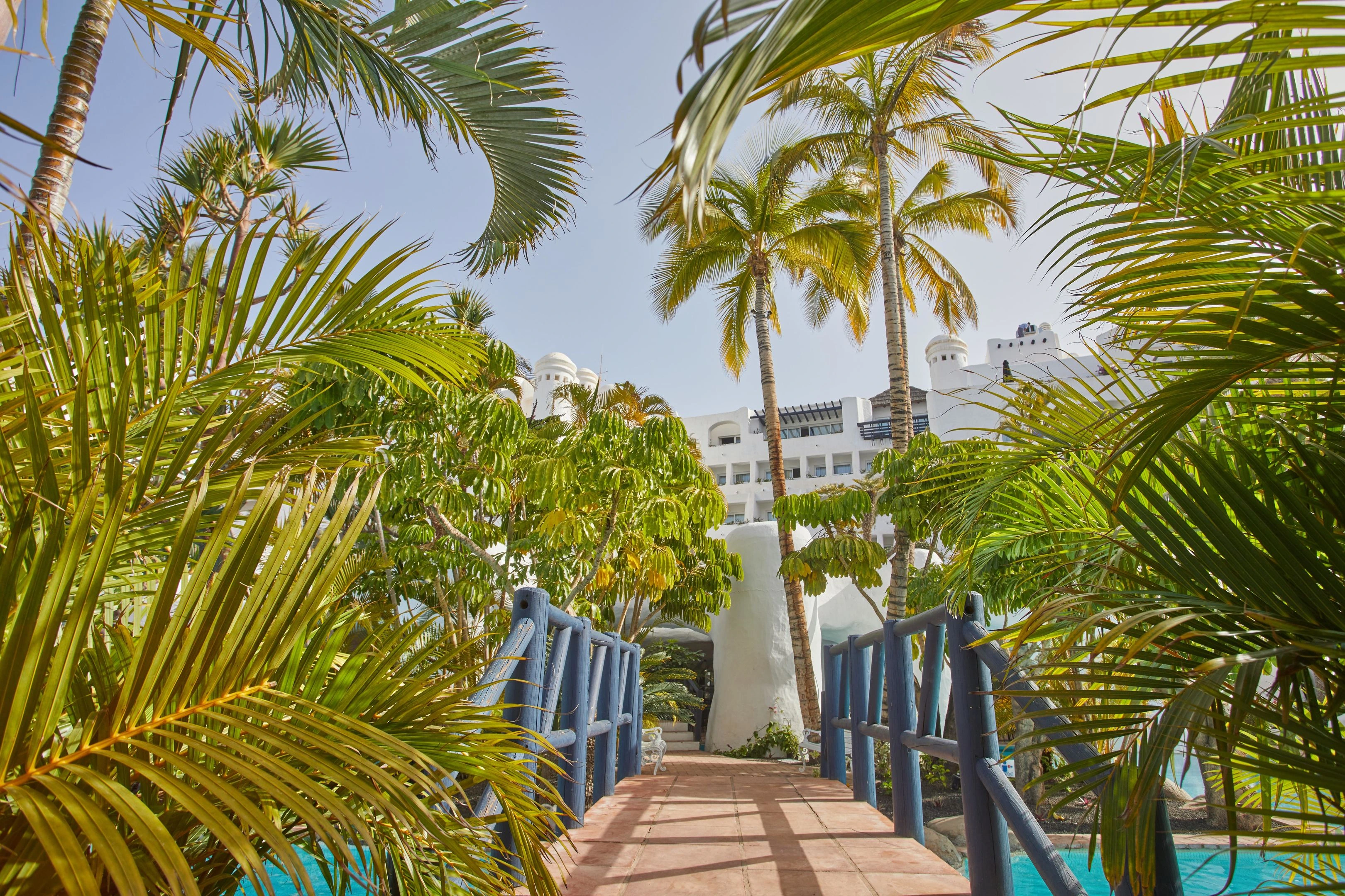 Hyatt Ziva Jardín Tropical Tenerife