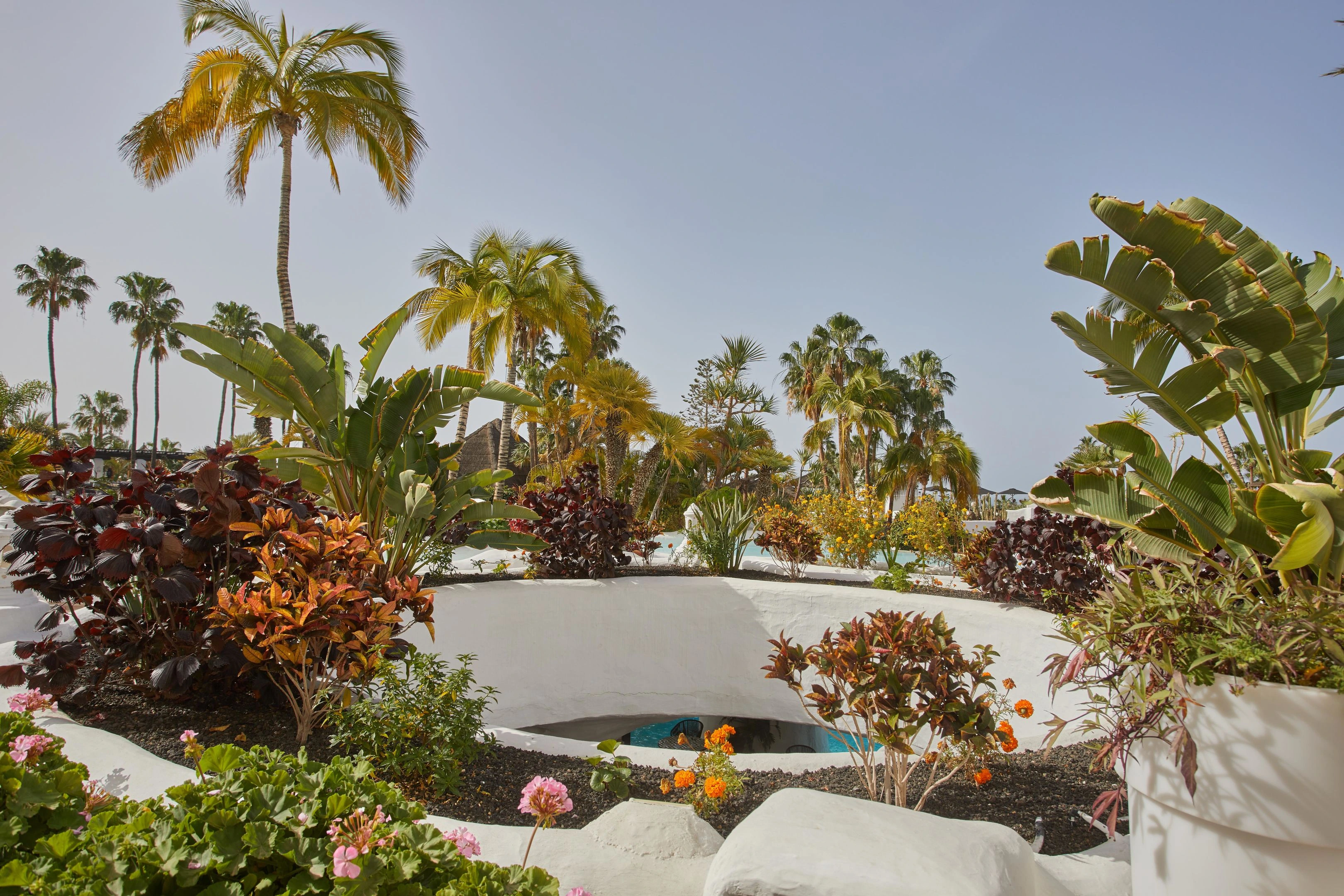 Hyatt Ziva Jardín Tropical Tenerife