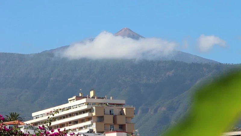 Apartamentos Pez Azul
