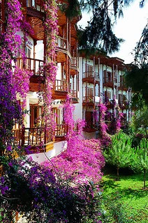  Club & Hotel Letoonia