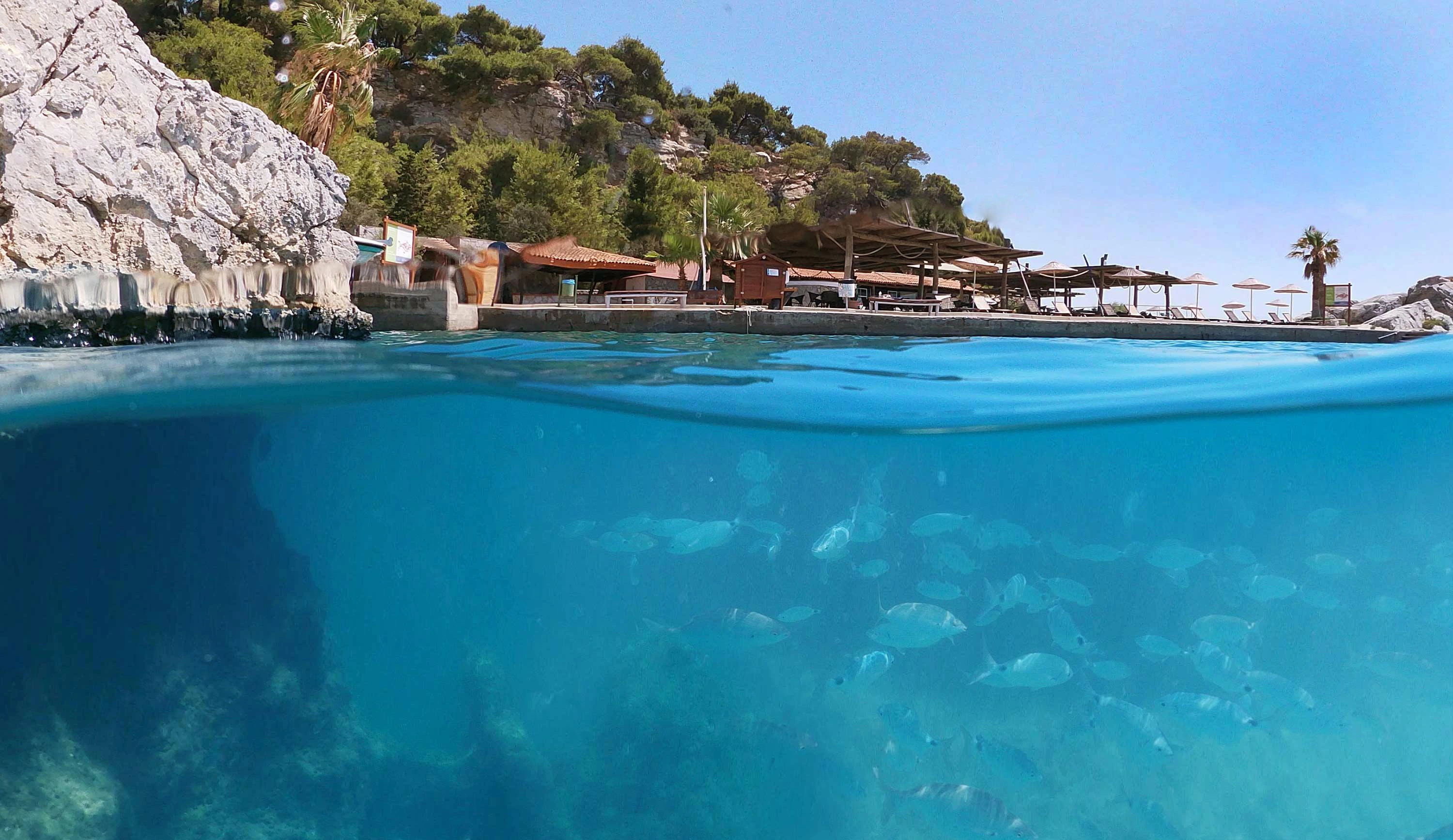 Pine Bay Holiday Resort