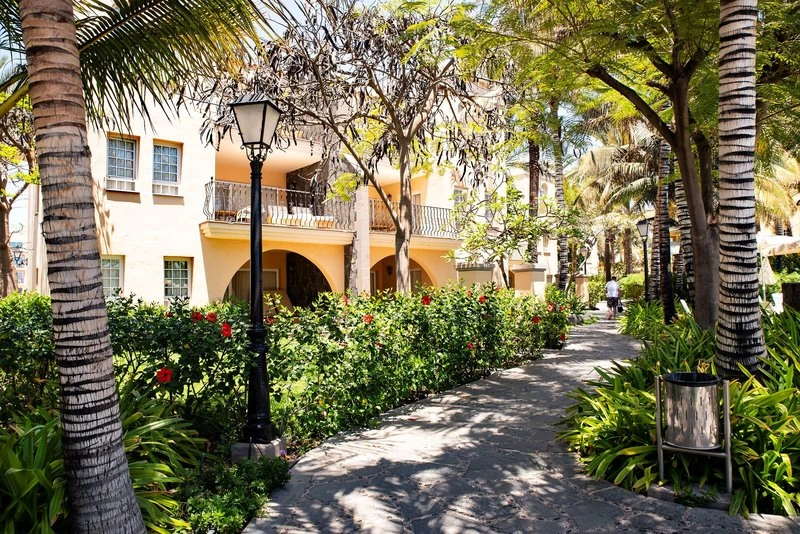 Palm Oasis Maspalomas