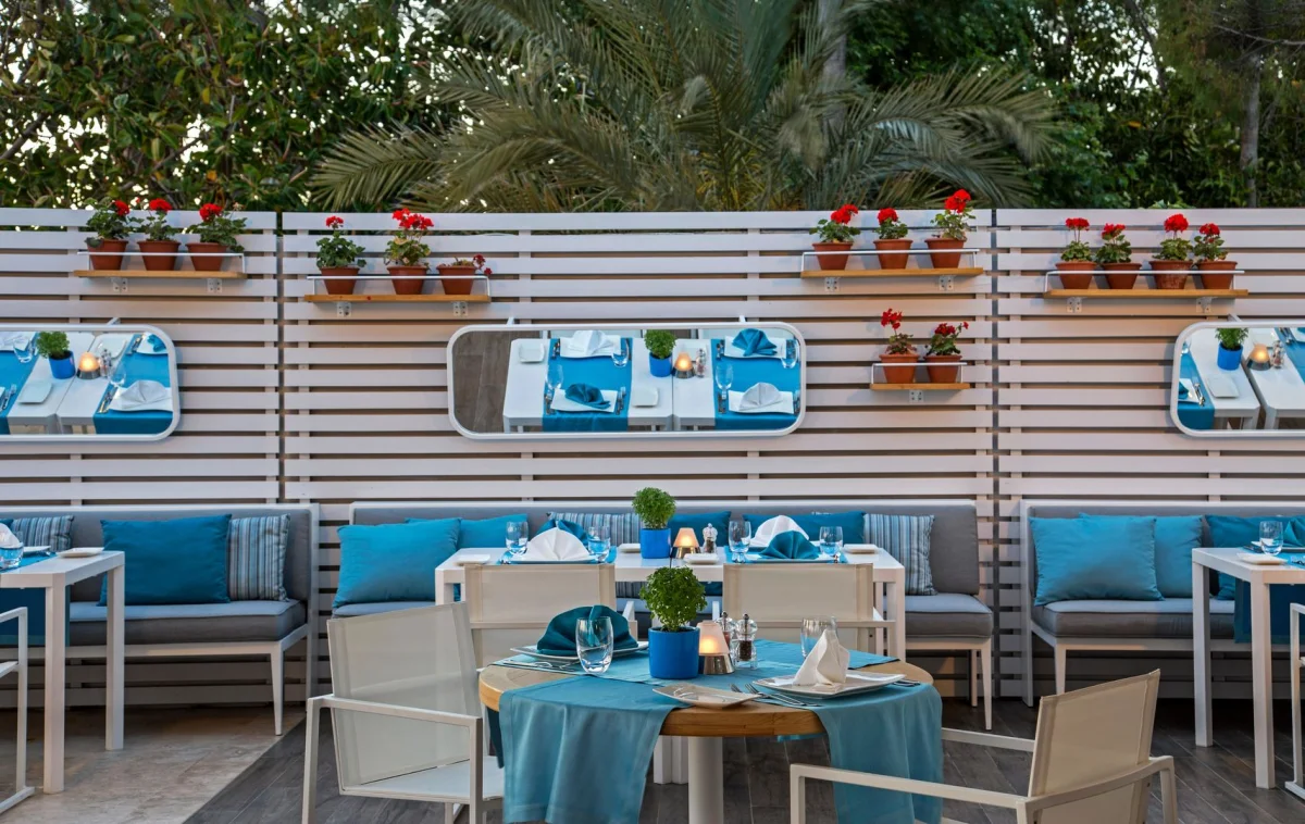 Acanthus Cennet Barut Collection