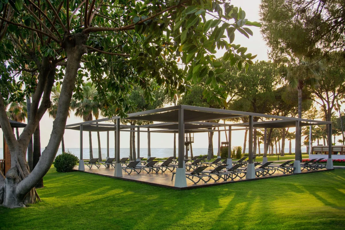 Acanthus Cennet Barut Collection