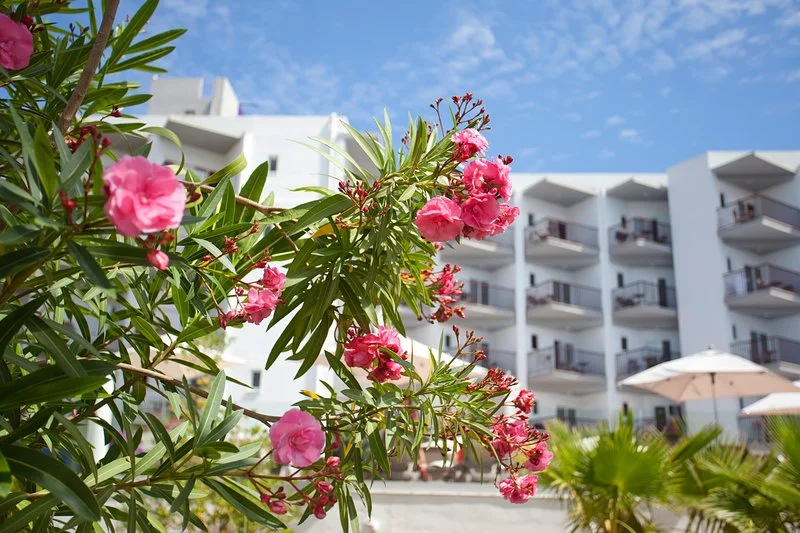 Hotel Fergus Bermudas