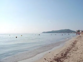 View More