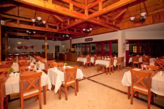 Gallery 5