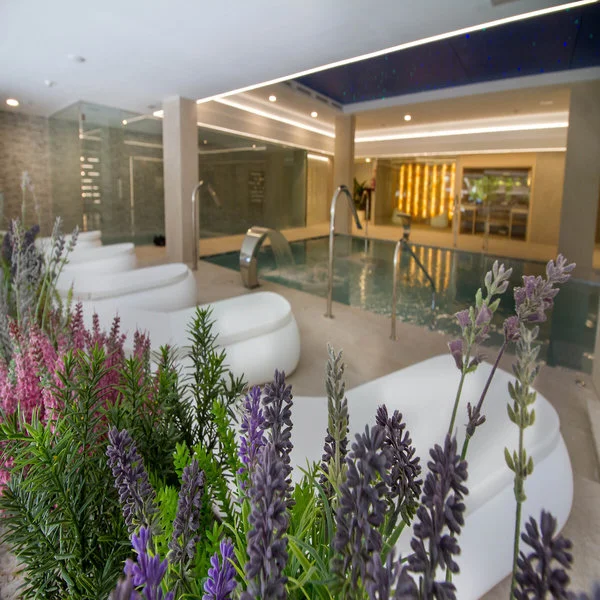 Estimar Suitopia 3 & Three