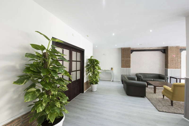 Hotel Toboso Chaparil