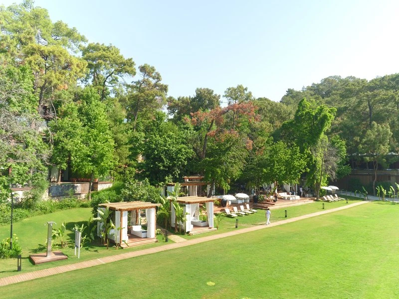 View More